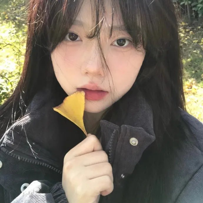 阿菊与阿勇